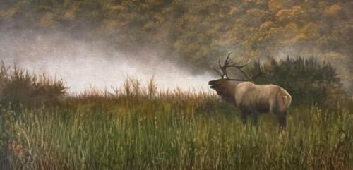 Elk in acrylics by Valerie Unruh