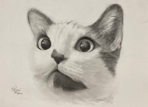 6 week Drawing Course - Pet Portraits - The Artist's Retreat - Collinsville, OK